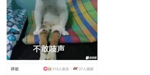 你是我生命中的每一天是什么意思