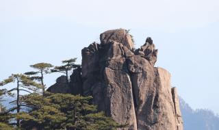 上海到黄山旅游攻略