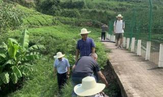 重庆5个区县降暴雨